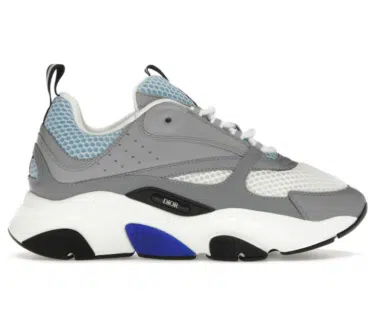 DIOR B22 REPLICA WHITE BLUE